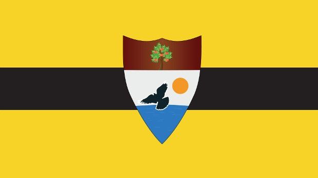 Image shows Liberland's flag