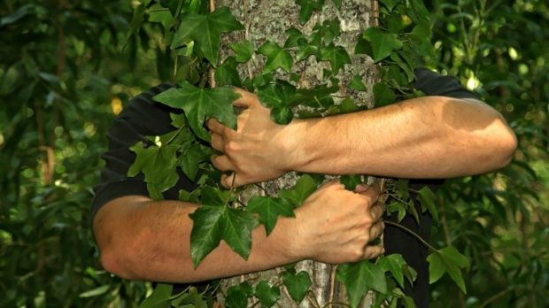 Man trying to escape police officers hugs a tree