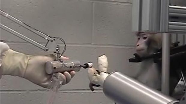 Monkey moves robotic arm with brain-power alone