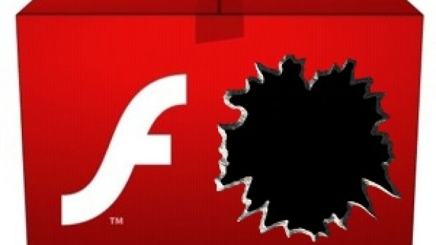 Flash Player bundled in Adobe Reader remains vulnerable for months after patches are released