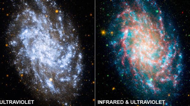 Two pictures of the M33 galaxy. On the left, images from GALEX alone; on the right, composite photograph from GALEX's UV survery and Spitzer's Infrared studies