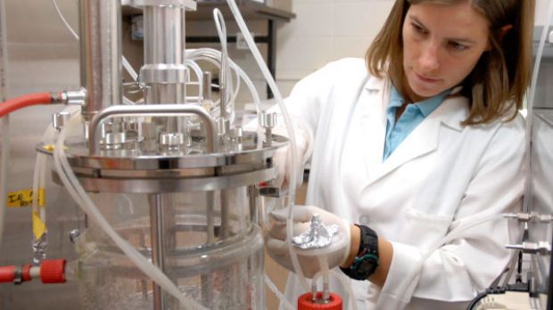 Natasha Mallette, a Montana State Ph.D. student in chemical engineering, works with a fermentation system for converting biomass