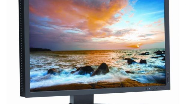 NEC 24-inch MultiSync monitor