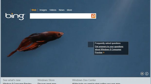 Windows 8 Consumer Preview video background on Bing