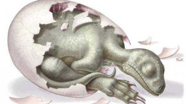 Artist's reconstruction of a Massospondylus embryo
