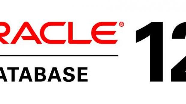 Oracle Database receives eight security patches