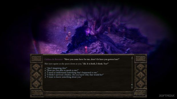 Pillars of Eternity is getting a patch soon