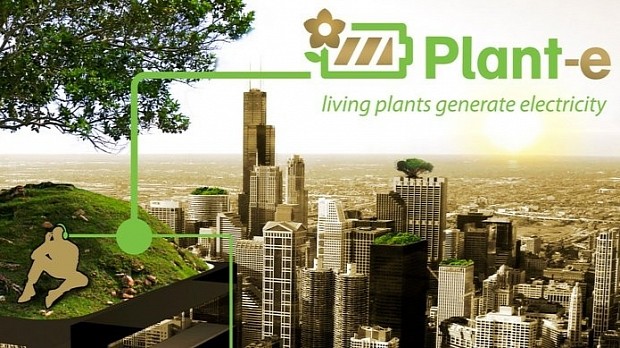 Plant-e world plans