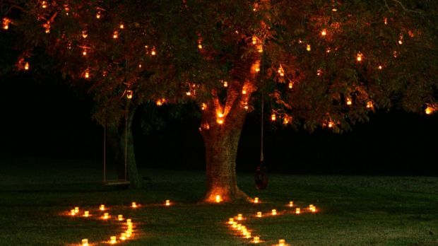 Boyfriend adorns a tree with led candles, before proposing