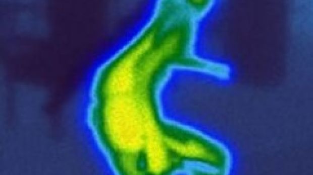 Infrared image of a man
