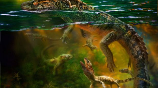Artist's impression of a philydrosaurus swimming around with its offspring