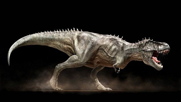 Researcher says dinosaurs were endotherms