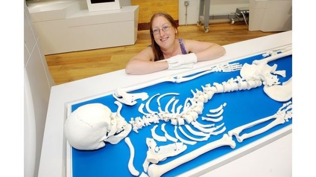 King Richard III 3D printed skeleton