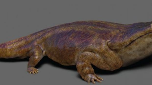 Ancient amphibian was as big as a car
