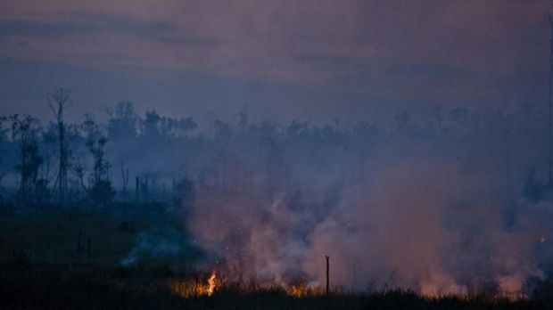 Wildfire (wildfire) burning in Riau Province, Indonesia