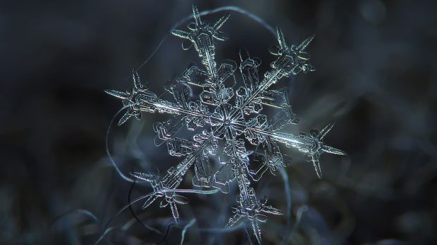 Snowflake Macro
