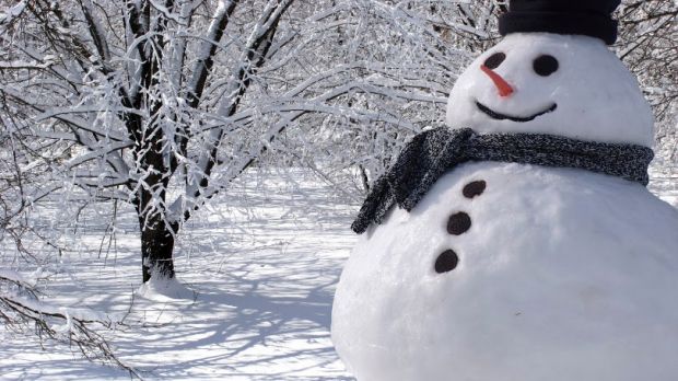 Cleric insists snowmen are anti-Islamic