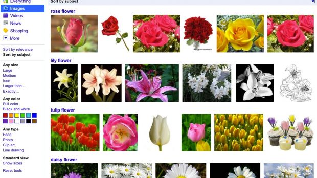 Sort by subject in Google Image Search