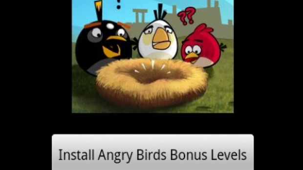 "Fake" Angry Birds installation screen