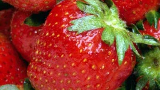 Strawberries are extremely rich in anti-oxidants