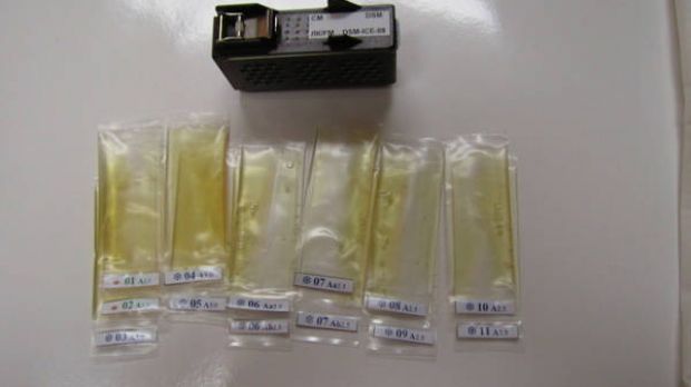 This image shows eleven of the sample bags that each contain between 100 and 10,000 worms, depending on the experiment