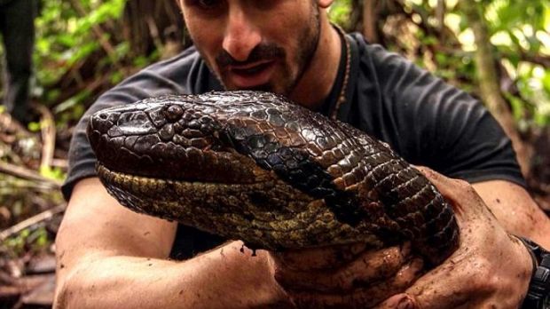 Eaten Alive was supposed to show Paul Rosolie being swallowed whole by an anaconda