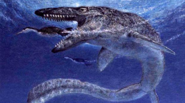 A mosasaur. The largest lizards ever lived in the sea during the dinosaur era
