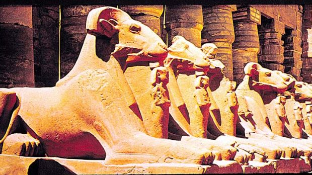 The soul of Amon-Ra: ram-headed sphinxes