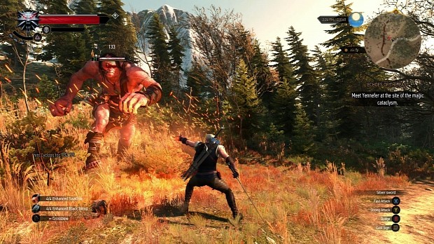 Fight a cyclop in The Witcher 3
