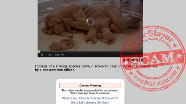 Fake page promising access to footage with newly discovered creature