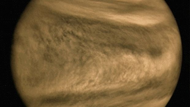 Venus' dark spots in UV light