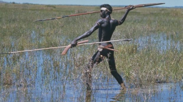 Aborigine hunting with spear. He holds a spear and a boomerang in the left hand