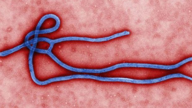 Ebola drug trials given the green light, will soon begin