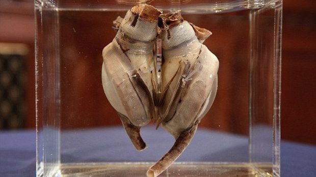 This is the first ever artificial heart