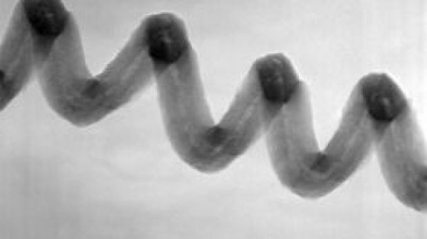 Transmission electron microscope micrograph of a singly wound, coiled carbon nanofiber synthesized through thermal chemical vapor deposition at high In concentration (In/Fe ratio > 3)