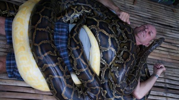 Zoo offers visitors snake massages