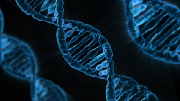 Researchers find a person's DNA influences their sleeping patterns