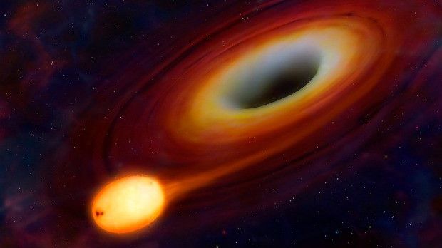 Black holes sometimes kick stars out of their home galaxies