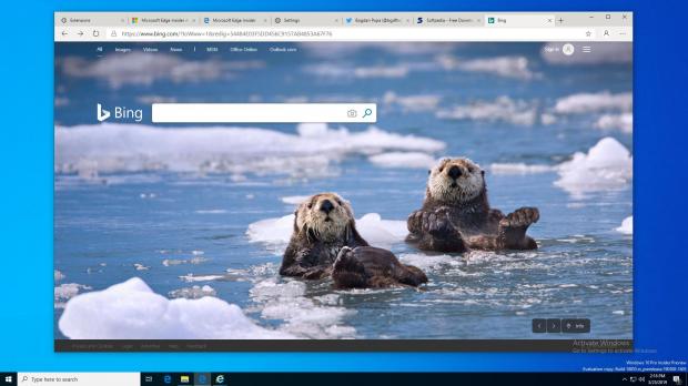 Microsoft is still giving the finishing touches to the first preview build of its new browser, but an early version made the round earlier today, allowing everyone to see what this project is all about.