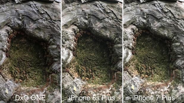DxO One vs. iPhone 6s Plus vs. iPhone 7 Plus test 9 crop