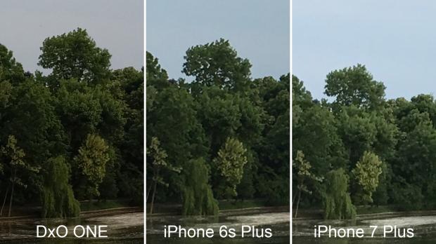 DxO One vs. iPhone 6s Plus vs. iPhone 7 Plus test 11 crop