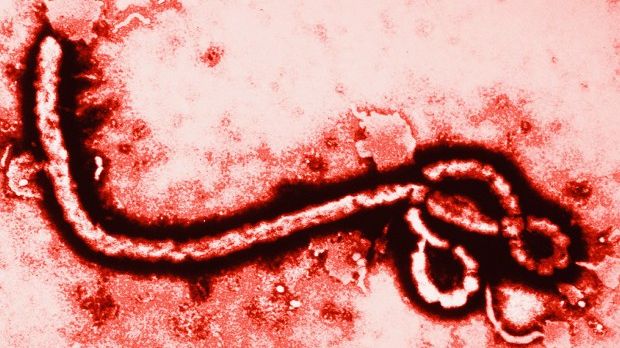 The Ebola epidemic in West Africa has claimed over 11,000 lives