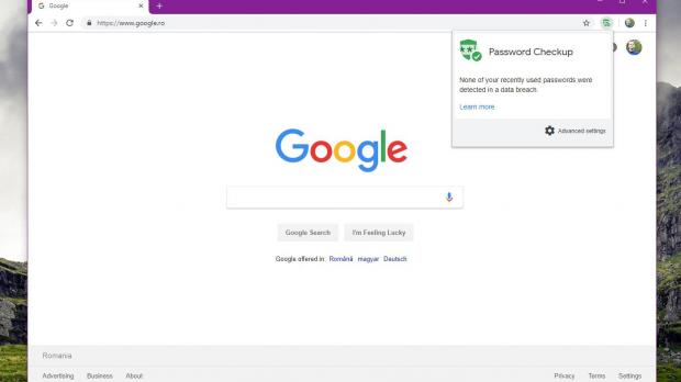 Google Chrome Password Checkup extension