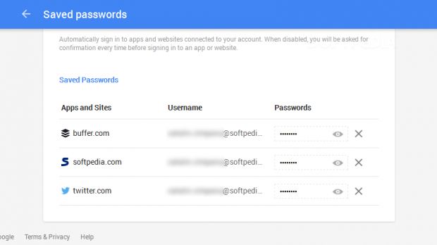 The Google Passwords section