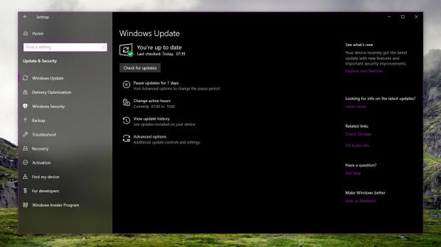 The bug hits Windows Update on all Windows versions