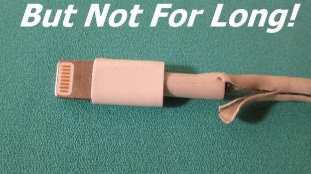 Frayed Lightning cable