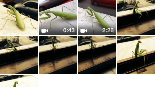 iOS 7 Camera/Photos bug