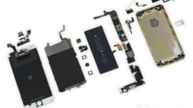 iPhone 6 Plus insights laid out flat