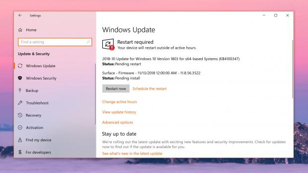 Windows Update went down in late January due to what eventually proved to be a DNS issue encountered by several ISPs, with customers in several regions, including the United States and the UK, no longer being able to update their devices.