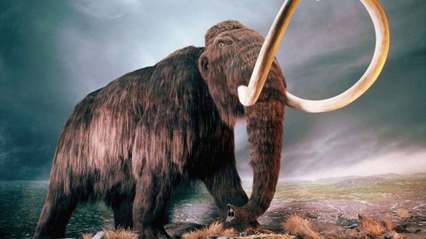 Mammoth remains found in Michigan